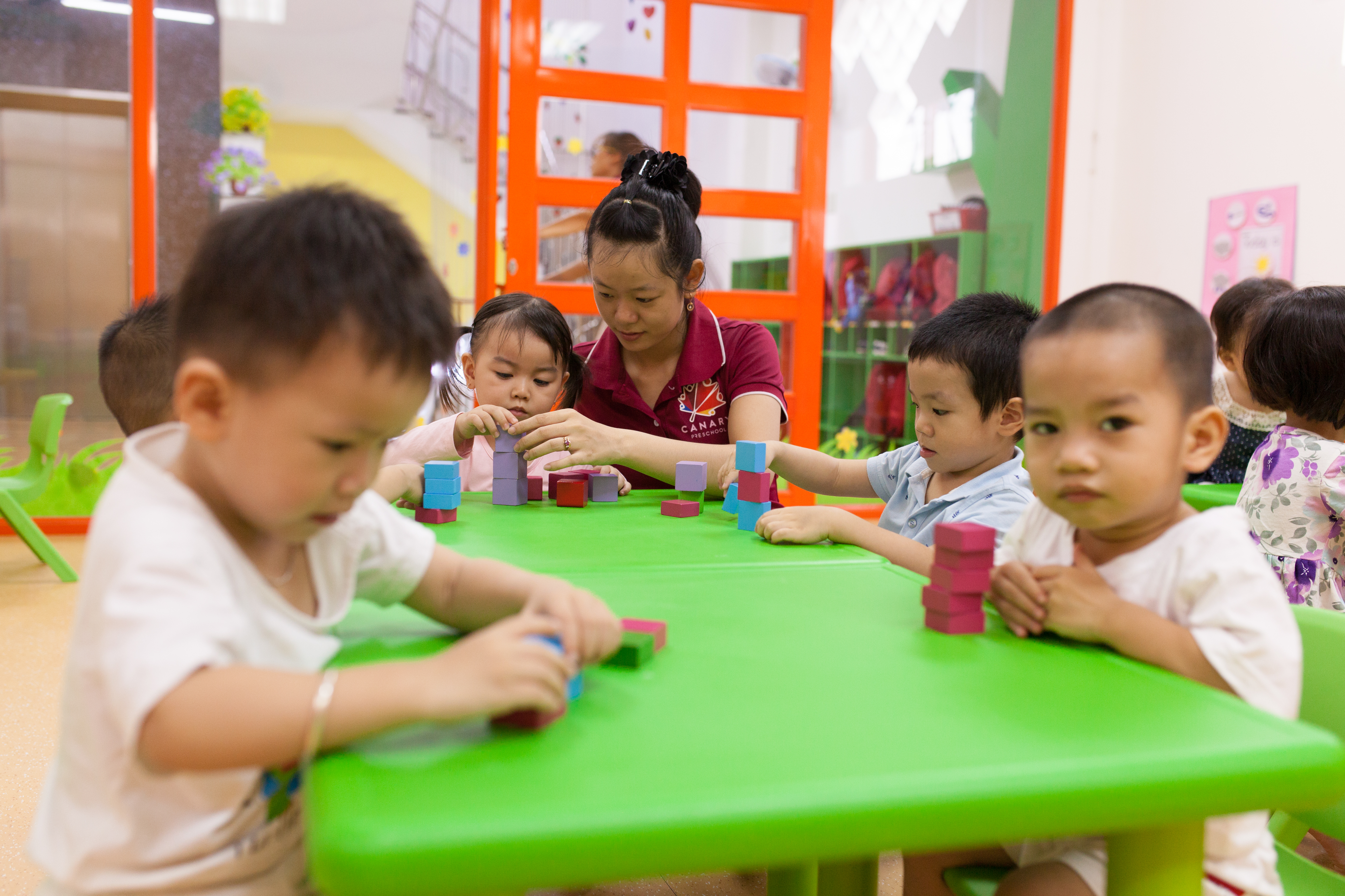 canarys.com.vn