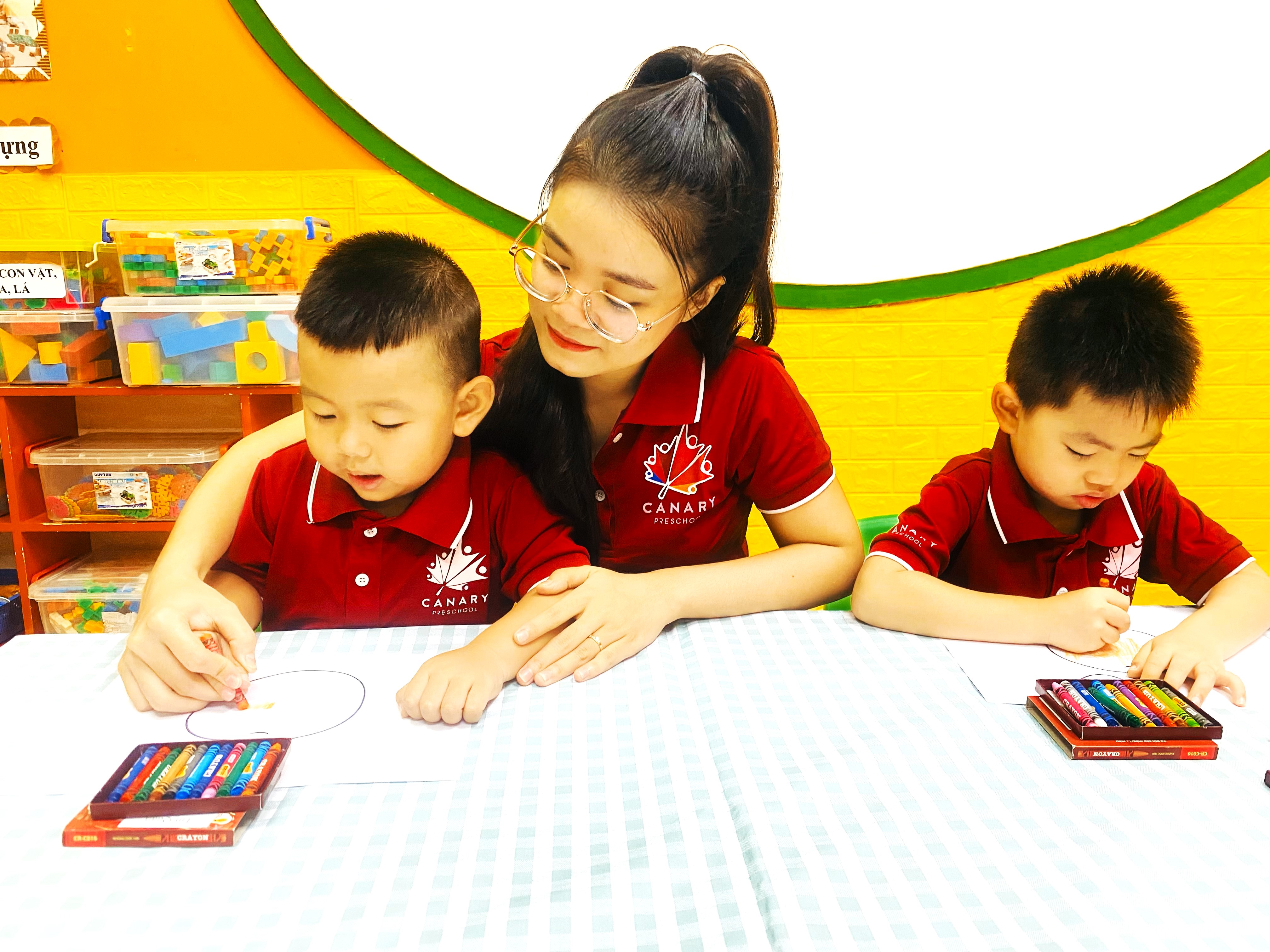 canarys.com.vn
