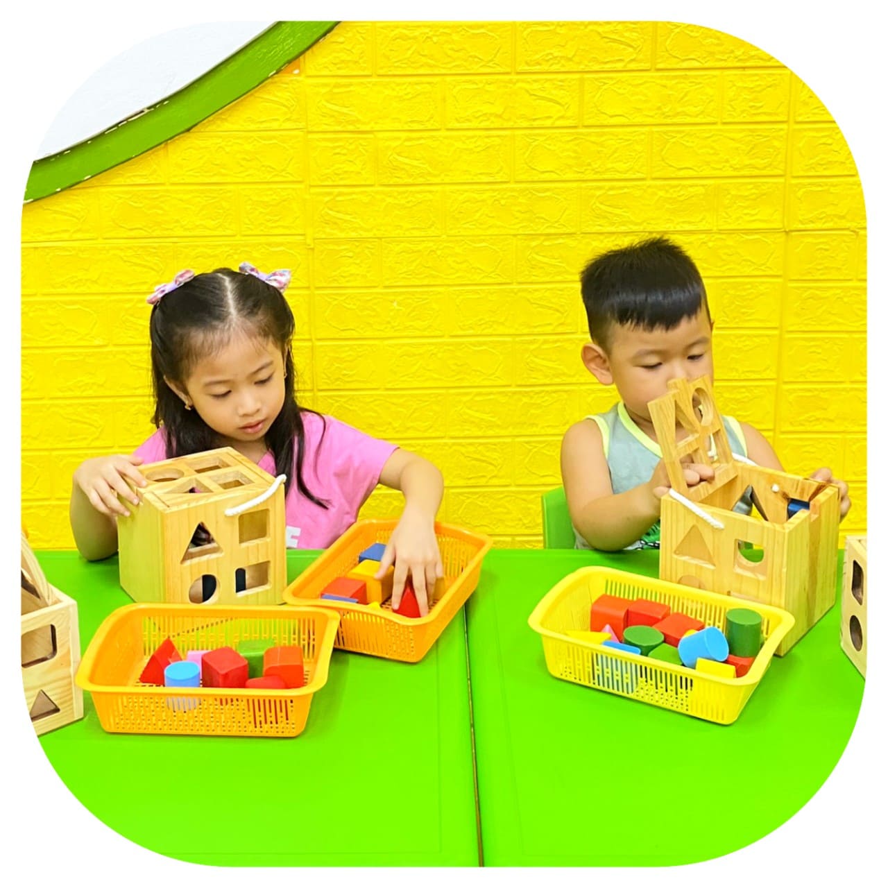 canarys.com.vn