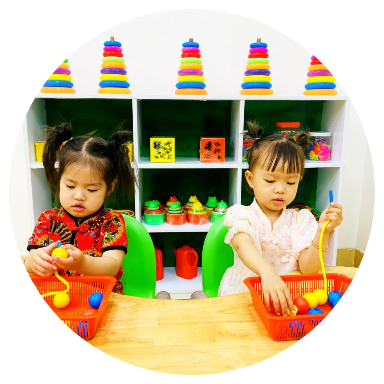 canarys.com.vn