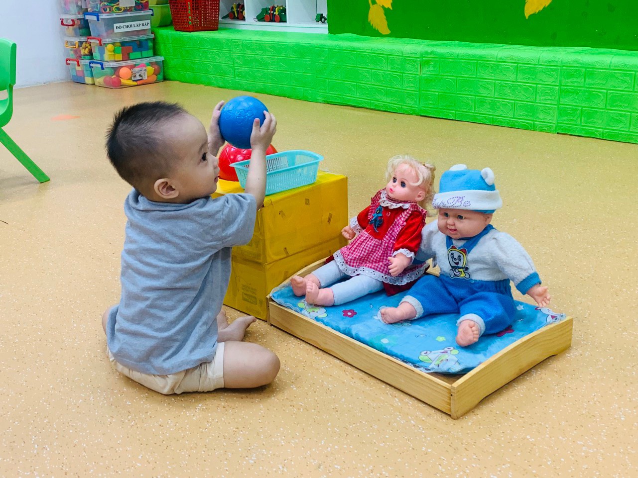 canarys.com.vn
