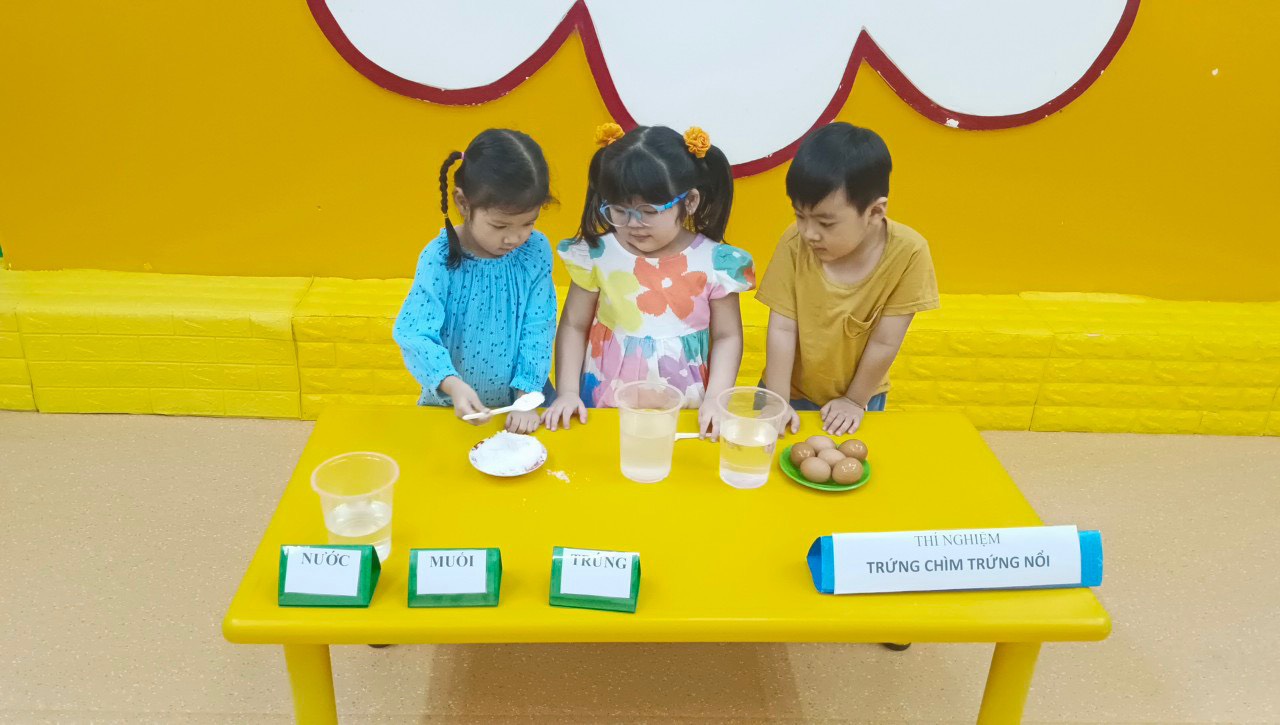 canarys.com.vn